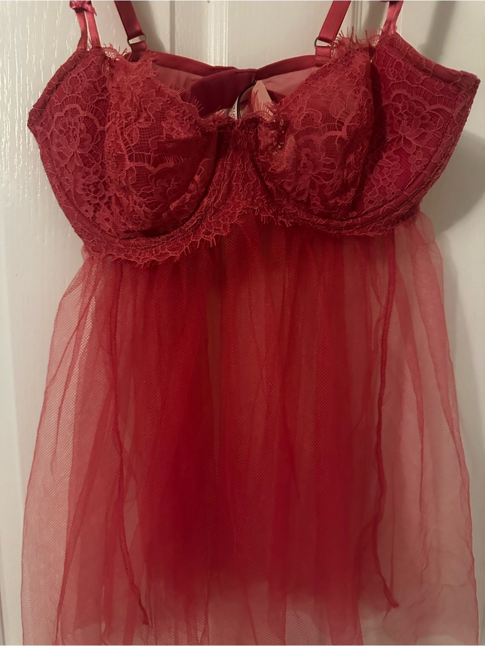 NWT-Sheer Lace Babydoll Chemise in Pink